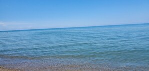 Playa en los alrededores y camastros 