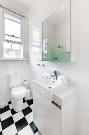 Shower, hair dryer, towels