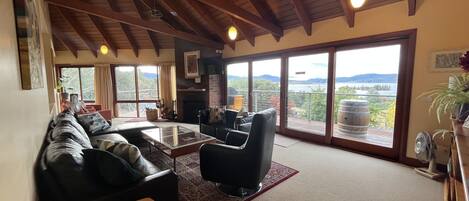 Smart TV, fireplace, DVD player, books