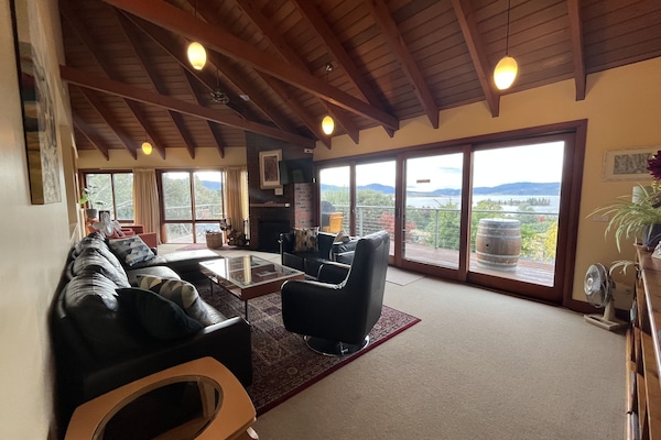 Smart TV, fireplace, DVD player, books