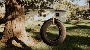 A tire swing hanging from a tree in a grassy yard with a house in the background. - Cozy remodeled modern farmhouse for up to 10, with secondary room for up to 30 (New London)