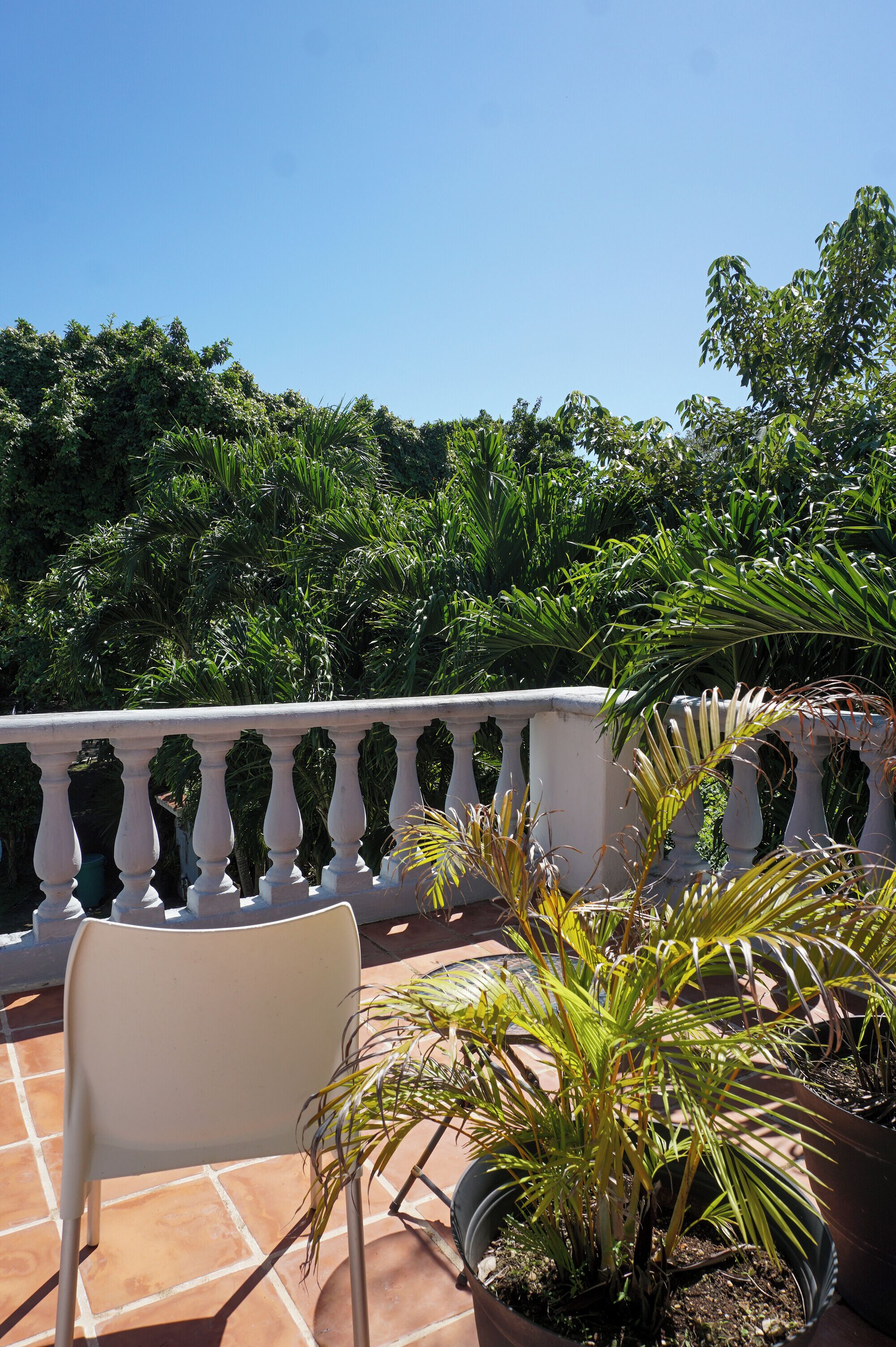 Una terraza con barandilla blanca, plantas en macetas y una silla blanca.