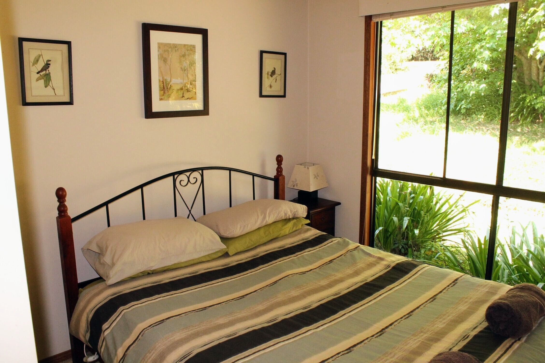 Dragonfly Cottage Springbrook