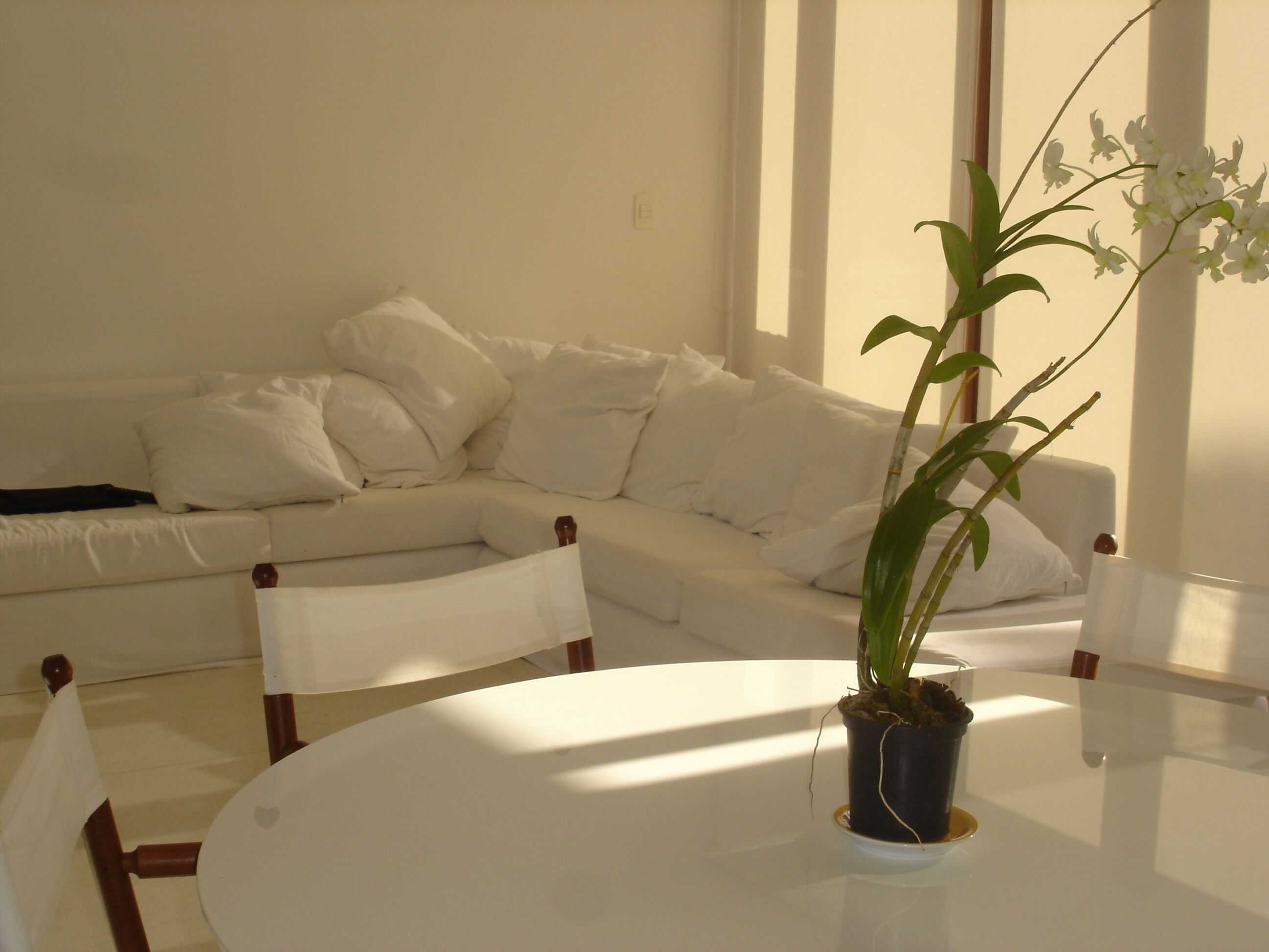 NEAR TO THE BEACH AND ITACIMIRIM