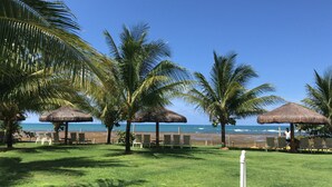 Un complexe hôtelier en bord de mer, doté de parasols en chaume, de chaises longues et de palmiers.