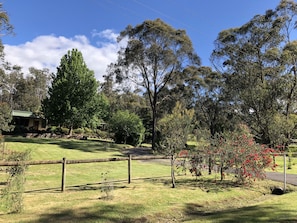 Surrounded by lush eucalyptus trees and a well-manicured lawn, this property offers a serene atmosphere.