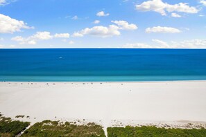 Plage, chaises longues, serviettes de plage