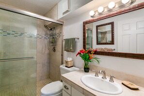 Chuveiro, secador de cabelo, toalhas de banho, papel higiênico