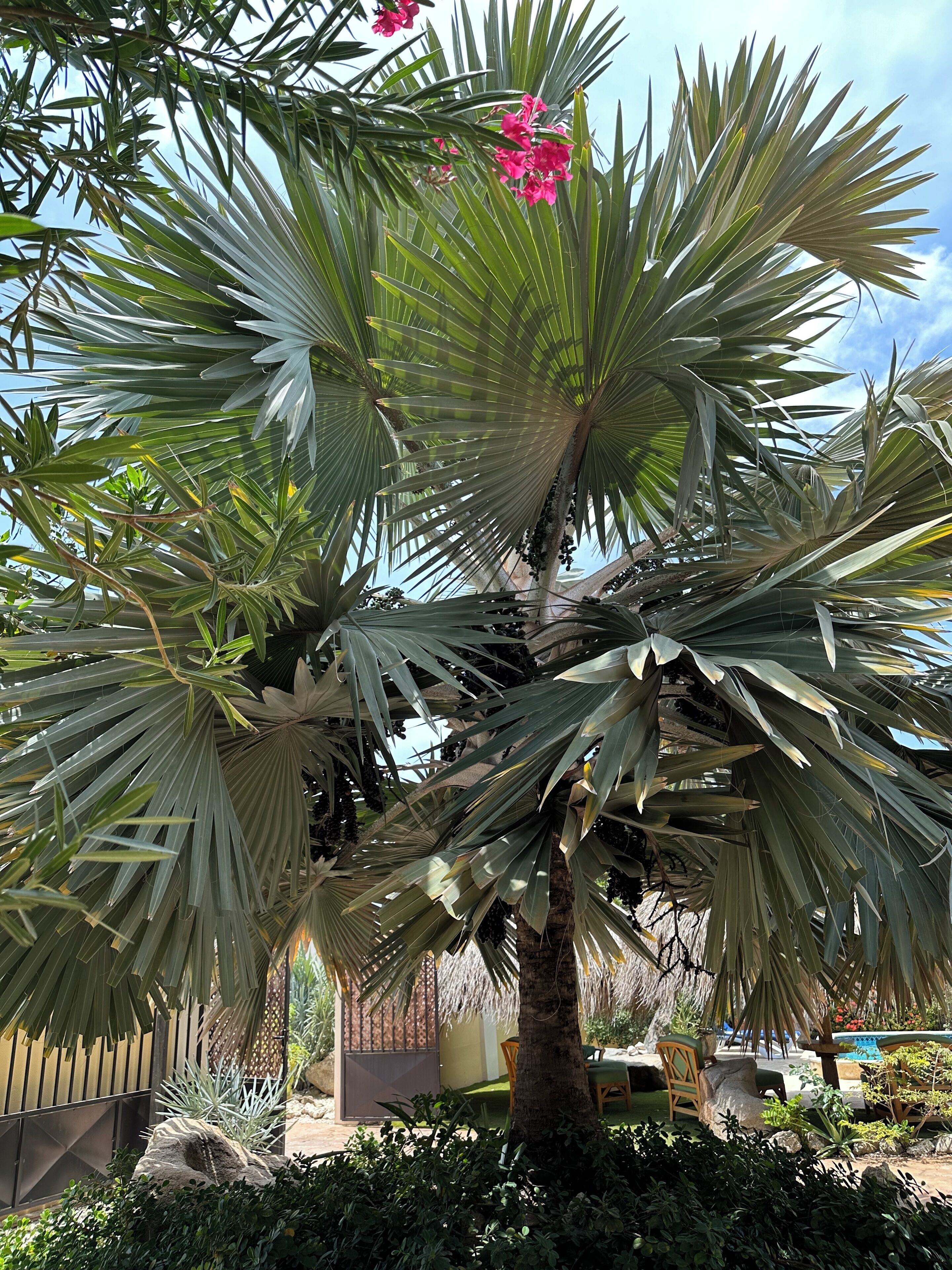 Overnatningsstedets område