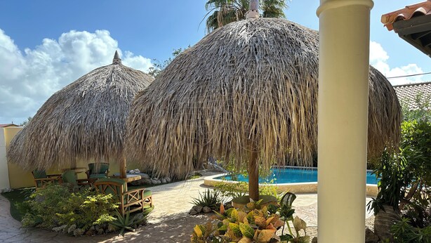 Un espace aménagé au bord de la piscine, avec des parasols en chaume, une piscine et des plantes en pot.