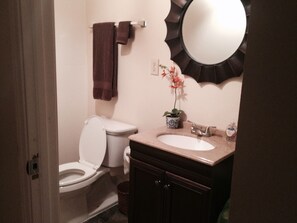 Une salle de bain avec des toilettes, un lavabo et un miroir.