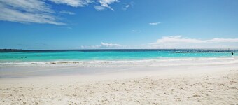 Stunning Beachfront 2-Bed Condo with Pool - Ocean One 204