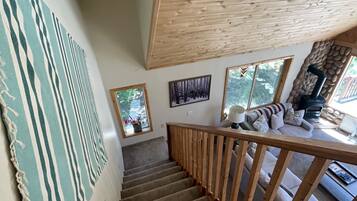 Smart TV, chimenea, reproductor de DVD y libros