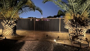 A nighttime outdoor area with palm trees, a metal fence, and a gravel path.