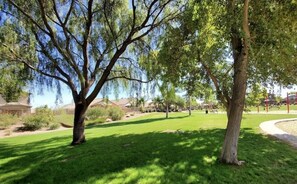 Property grounds - Quiet, luxury with a view on the Las Colinas Golf Course (Queen Creek)