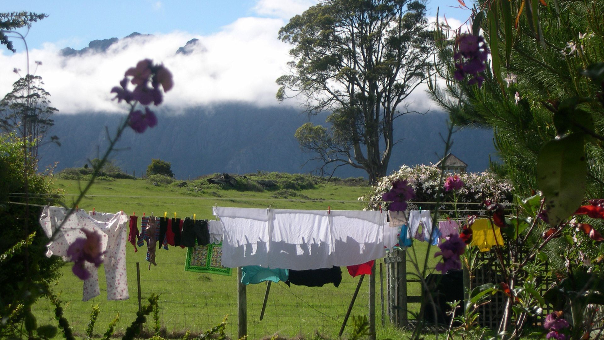 AAA Granary Accomm - Gumnut 2 bedroom Cottage — image 9