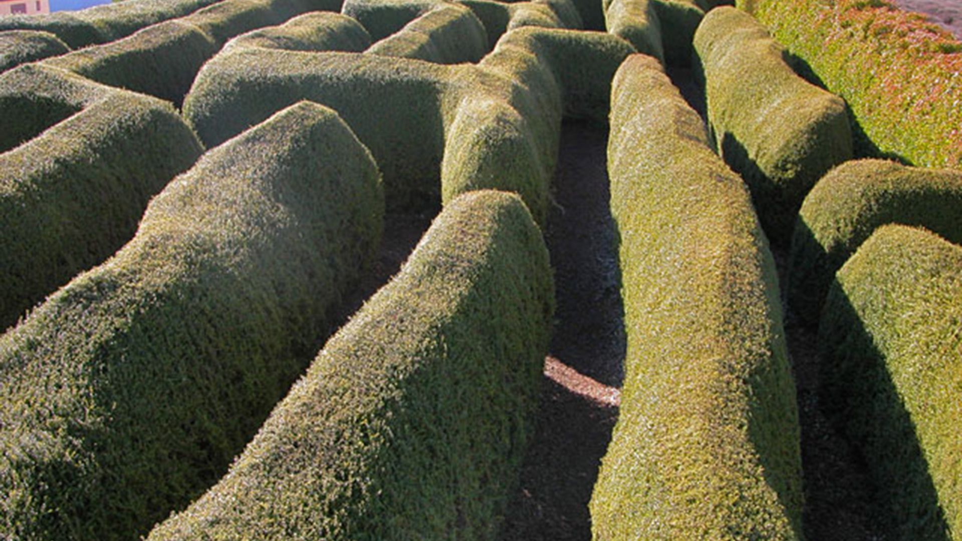 AAA Granary Accomm - Gumnut 2 bedroom Cottage — image 2