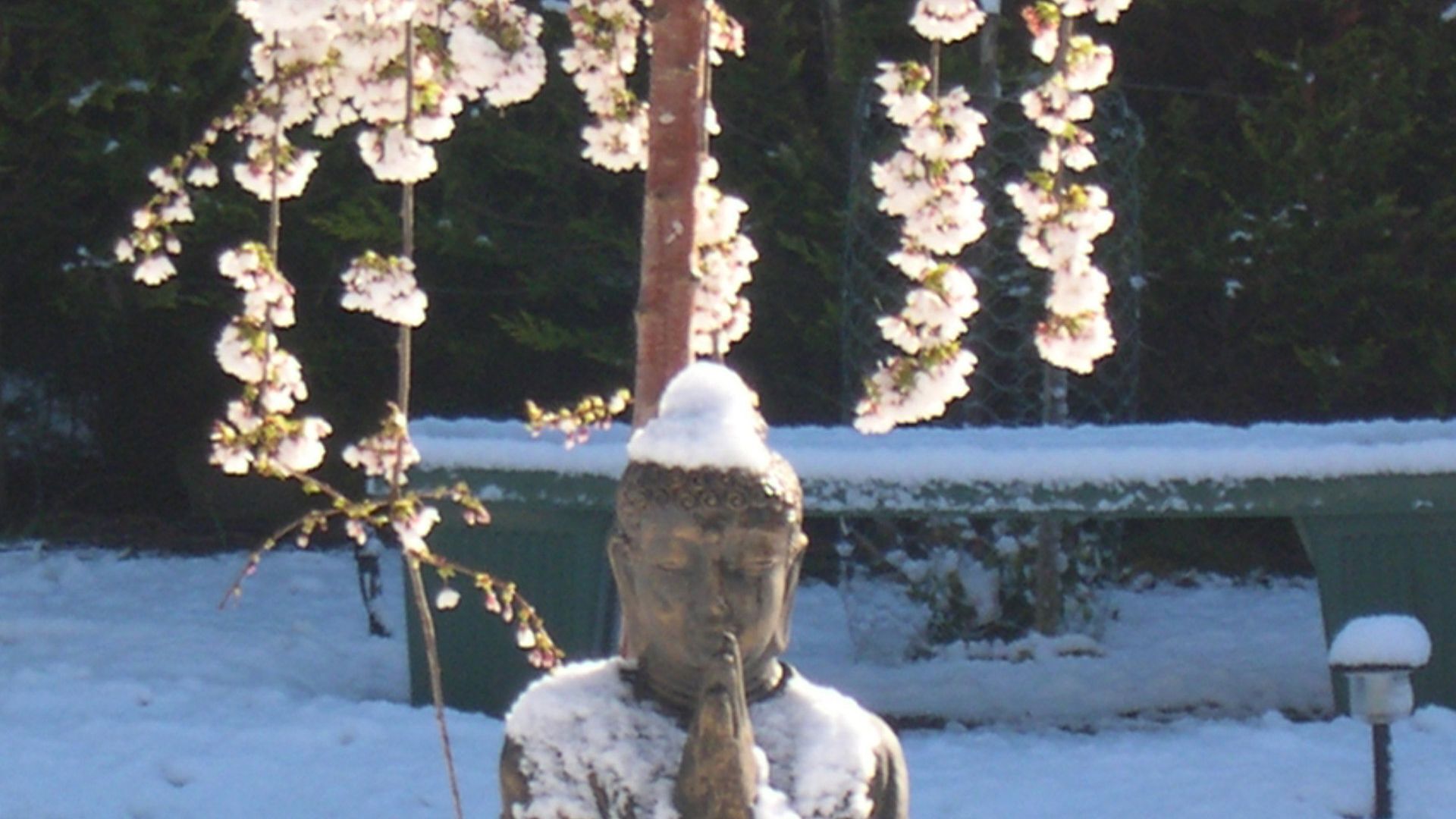 AAA Granary Accomm - Gumnut 2 bedroom Cottage — image 13