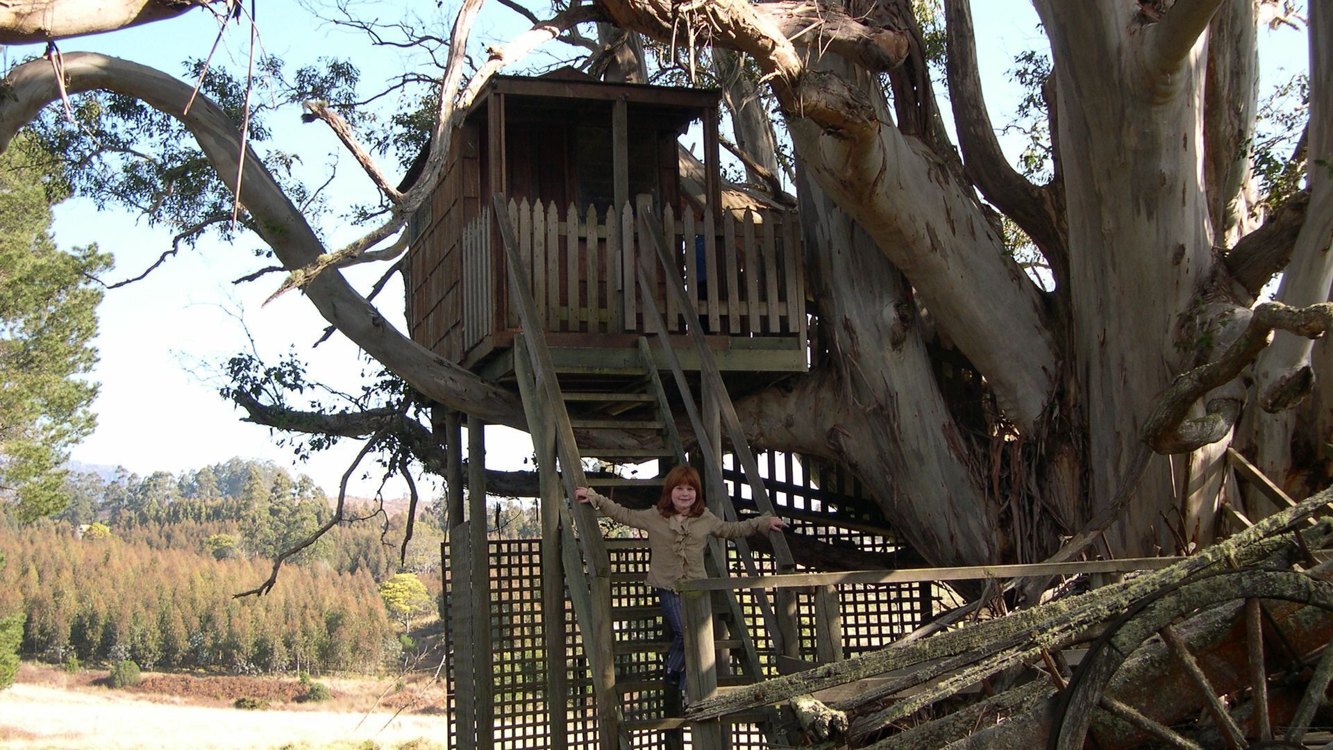 AAA Granary Accomm - Gumnut 2 bedroom Cottage — image 12