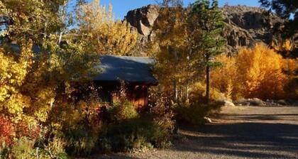 Secluded Hideaway Cottage By Mt Stream Near Hiking, Biking, Skiing, Hot Springs