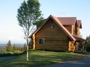Ulkopuoli