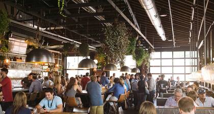 Centrally located in Uptown Charlotte. Walk to everything. Gym, Pool, Free Parking