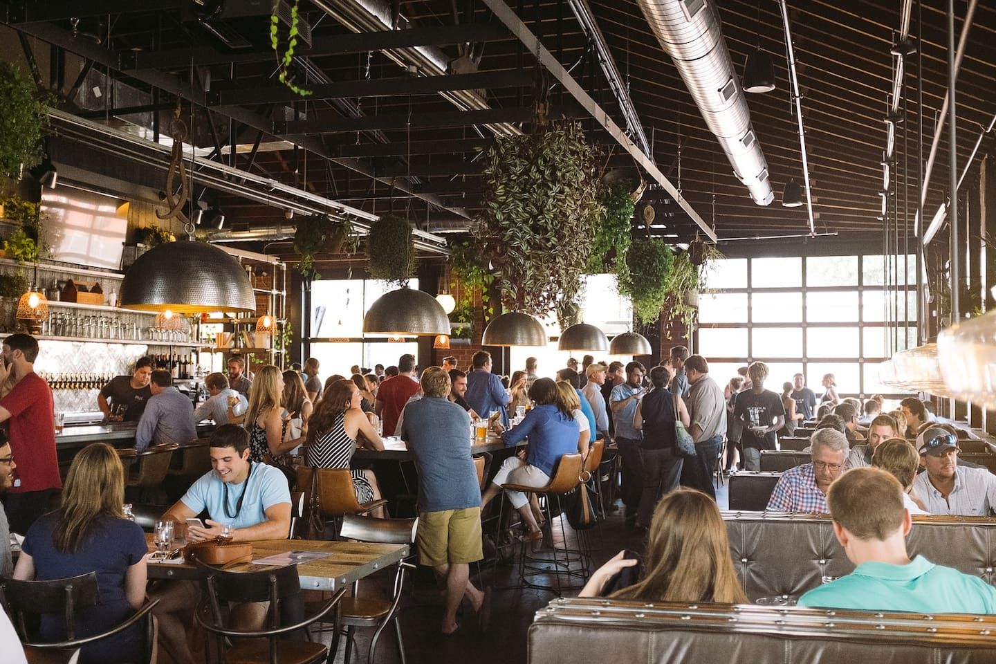 A busy indoor space with tables and chairs, large hanging plants, and a high ceiling with exposed beams.