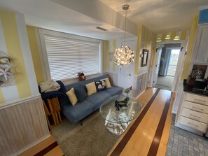 Smart TV, Netflix, DVD player, books