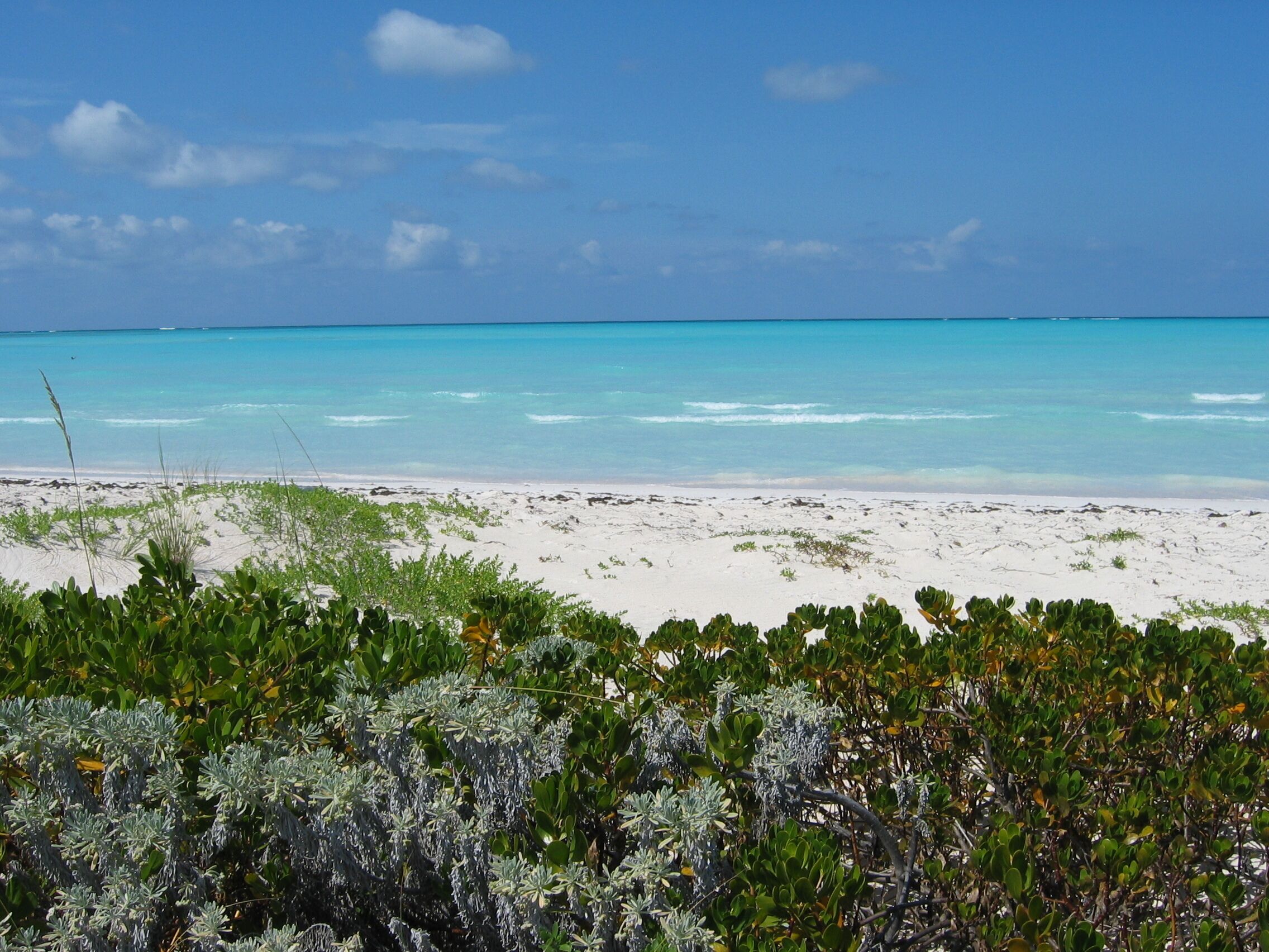 A beach with white sand and clear turquoise water.
