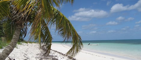 Beach nearby, sun loungers