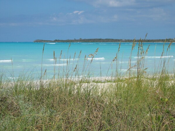 Beach nearby, sun-loungers