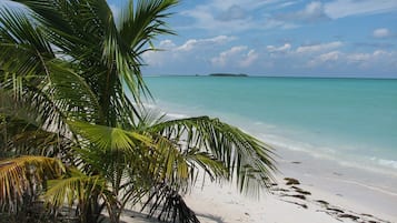 Beach nearby, sun-loungers