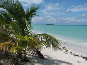 A beach with clear turquoise water, white sand, and palm trees. - Spacious 4 Bedroom 2 Bath Villa, 2 minute walk to beach, Kayak Included (Eleuthera)