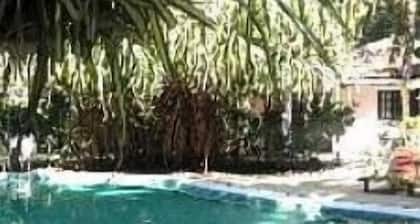 Beautiful Casa Mambo; beach/pool/surf/wi-fi/cable-tv/ac