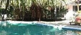 Beautiful Casa Mambo; beach/pool/surf/wi-fi/cable-tv/ac