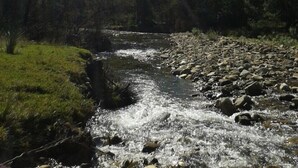 A river flowing through a mountainous landscape with rocky banks and trees.