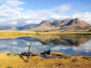 Nicht klassifiziertes Bild, 2 von 13, Schaltfläche