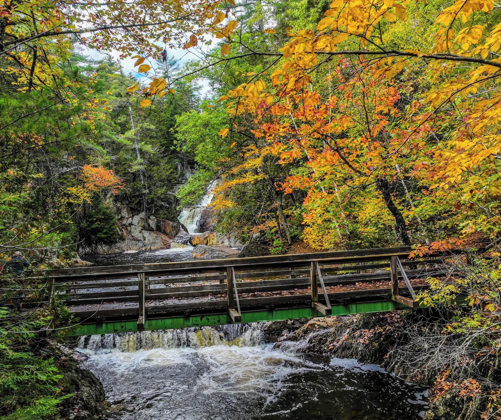 Eine Holzbrücke über einem Wasserfall in einem bewaldeten Gebiet mit Herbstlaub.