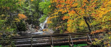 A wooden bridge over a waterfall in a forested area with autumn foliage.