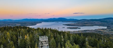 A forested landscape with a clear view of a lake and distant mountains.