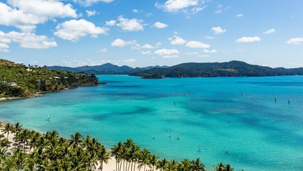 A coastal view with clear turquoise waters, palm trees, and distant mountains.
