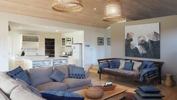 Smart TV, fireplace, video games, DVD player