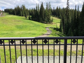 Property grounds - Large balcony, walk out condo on trails - Pet friendly! (Silver Star Mountain)