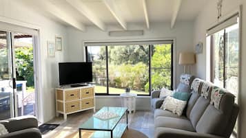 TV, DVD player, books, video library