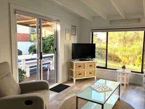 TV, DVD player, books, video library