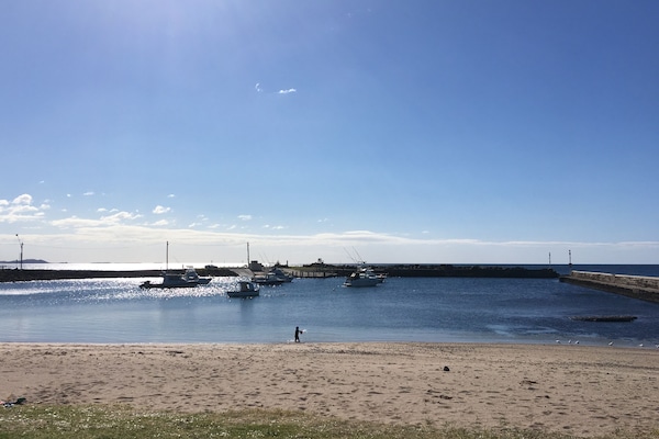 Plage, chaises longues