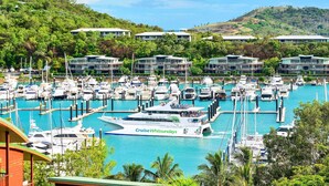 A marina with numerous boats docked, a cruise ship named 'Cruise Whitsundays Adventures', and buildings in the background.