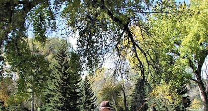 Squeaky Clean Cabin Thirty Minutes from Mt Rushmore - In Rapid City On Canyon Lake Thirty Minutes from Mt Rushmore