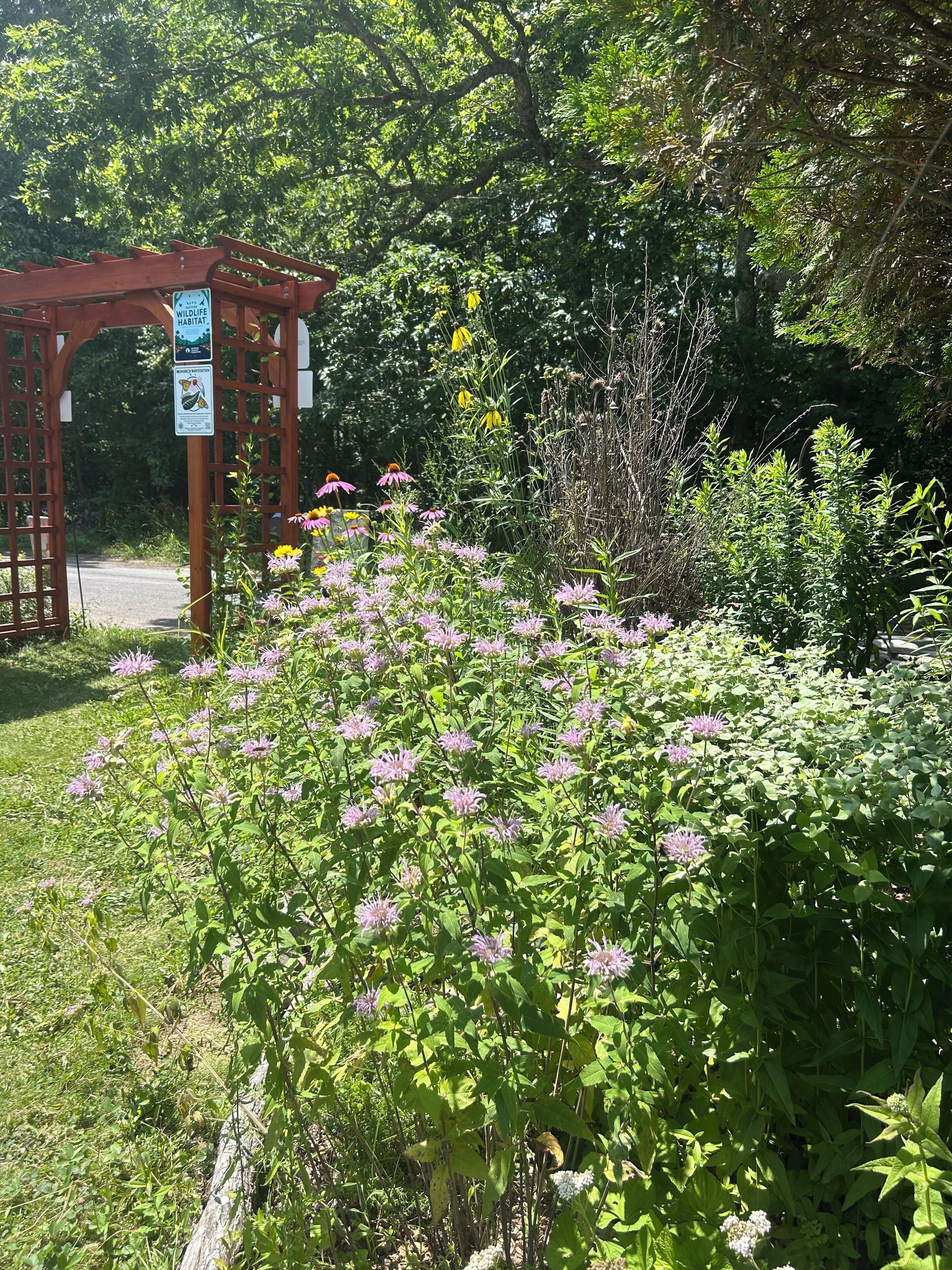Un jardin agrémenté d’une pergola en bois et de panneaux indiquant qu’il s’agit d’un espace protégé pour la faune et la flore.