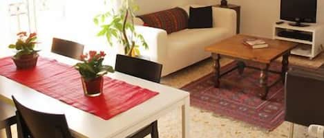 TV, lettore DVD, libri